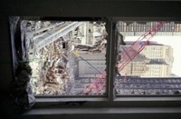 emt_photos_10017.jpg