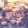 3101.pjpeg